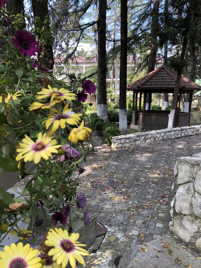 HELIOPARK Gora Bagrata Hotel Sukhumi Exterior foto