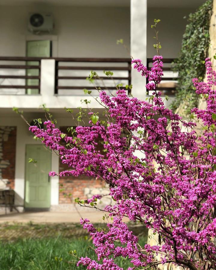 HELIOPARK Gora Bagrata Hotel Sukhumi Exterior foto